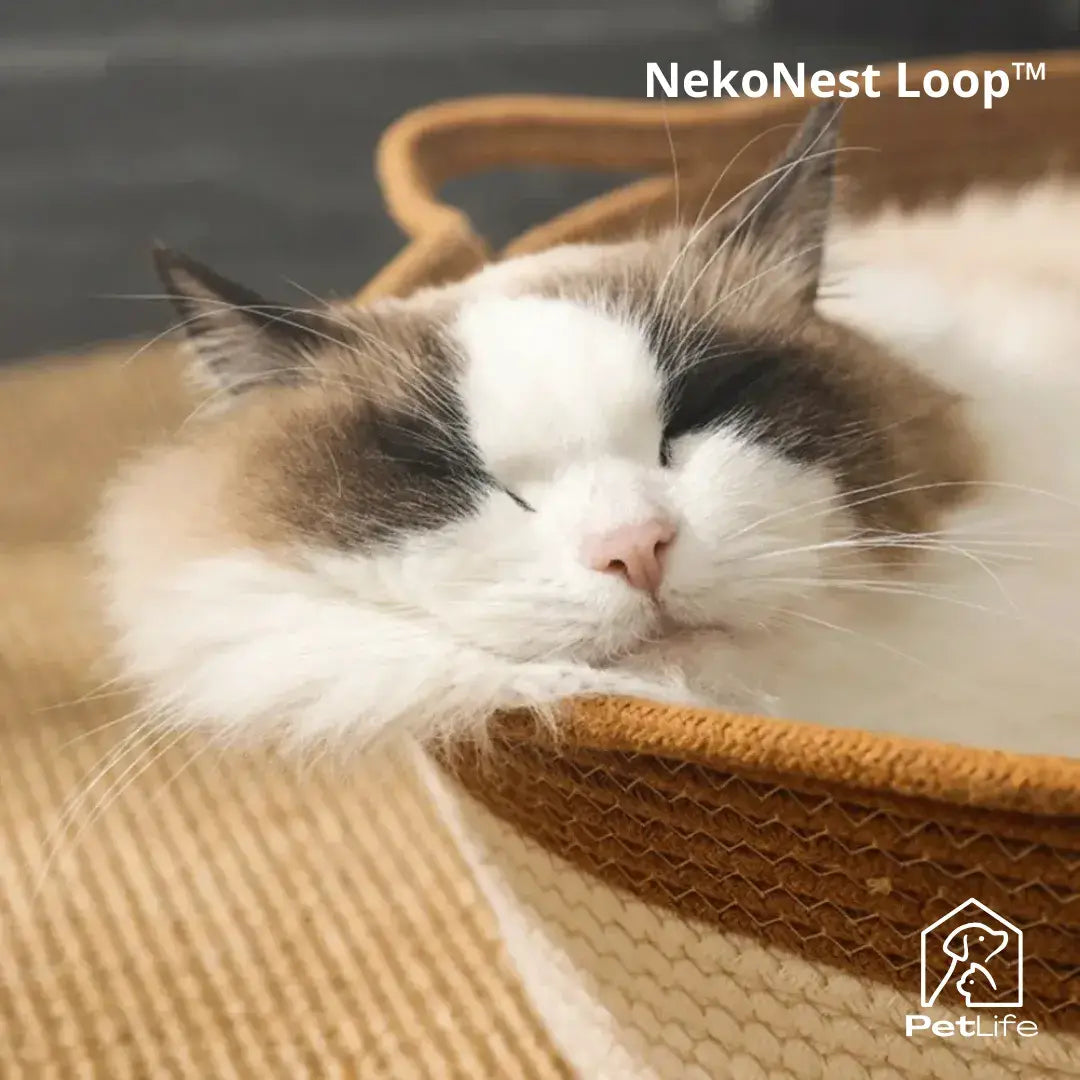 NekoNest Loop™