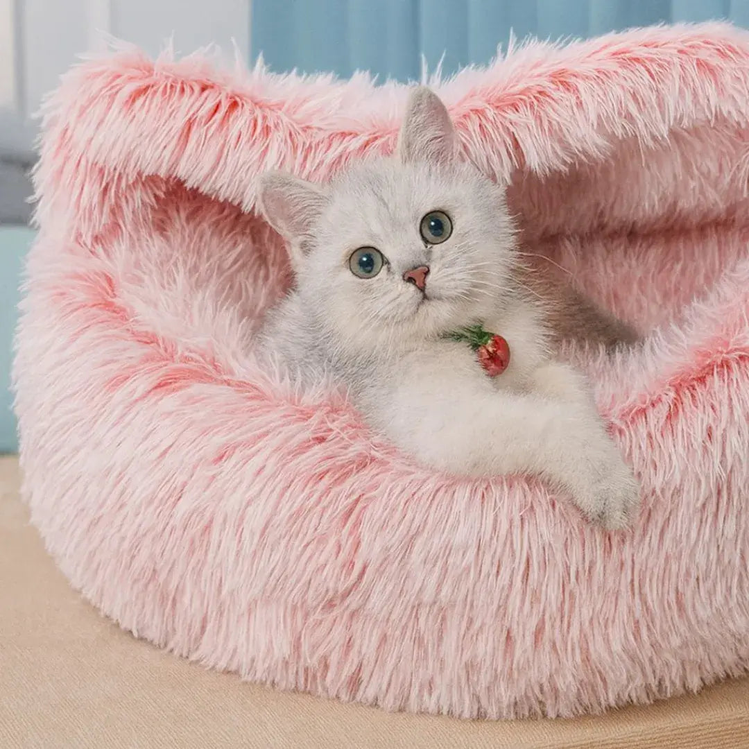 Mofuton™ ペットベッド