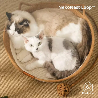 NekoNest Loop™
