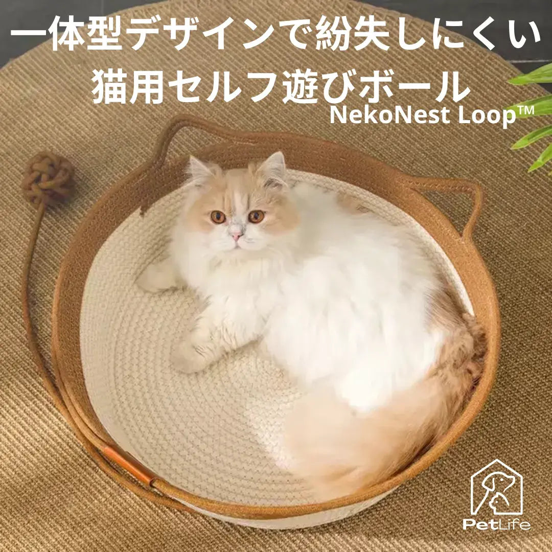 NekoNest Loop™